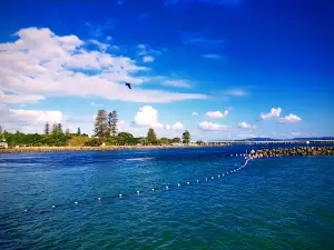 Tuncurry Markets