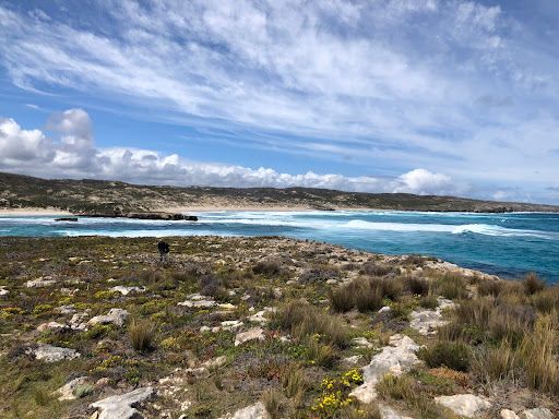 Hanson Bay Beach