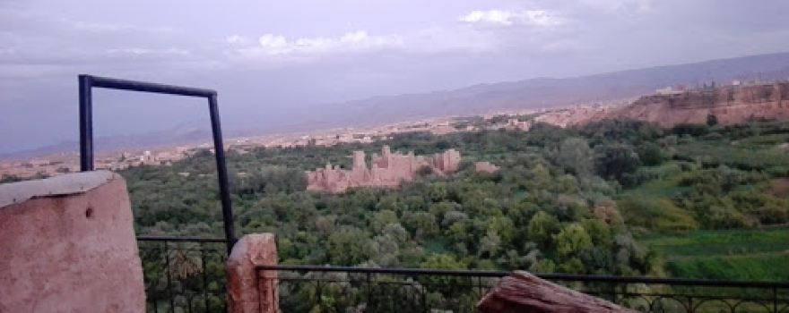 Talmoute