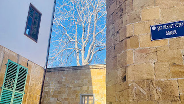 Arabahmet Kültür Evi