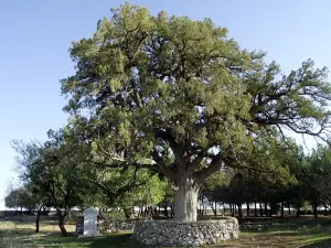 Hacım Sultan Türbesi
