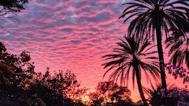 Rancho El Sahuaro LOCAL EVENTS AND POOLS