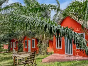 AMBA YARD ( FERME)