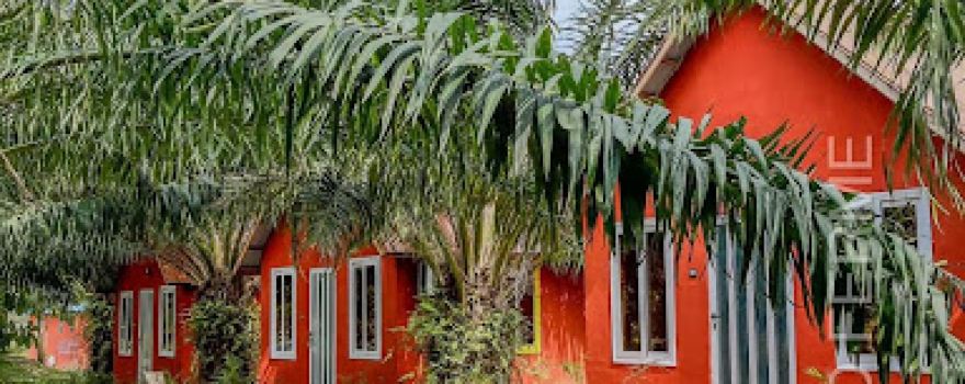 AMBA YARD ( FERME)