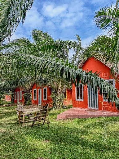 AMBA YARD ( FERME)