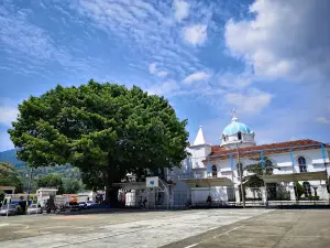 Parque Municipal San Rafael Las Flores