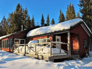 Explore the North