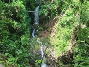 Neofauna Costa Rica