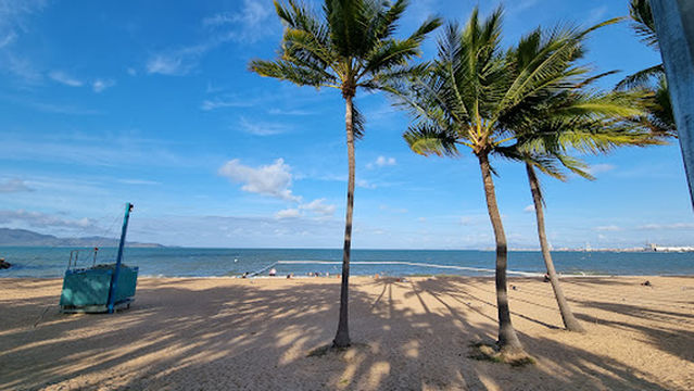 Townsville Stinger Net 1