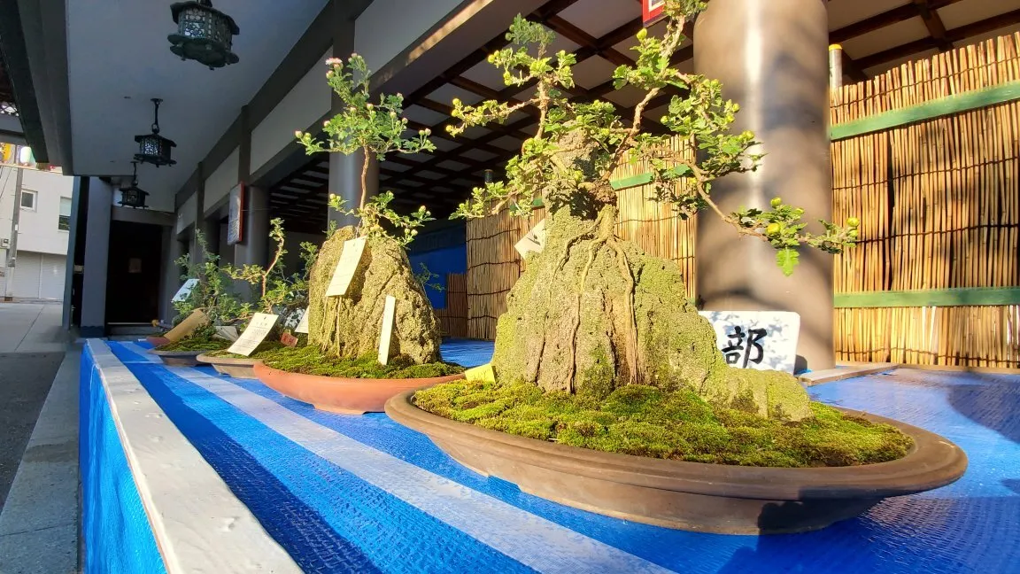 5_Yushima Tenjin Shrine