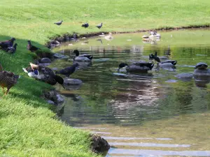 Parco Ducos