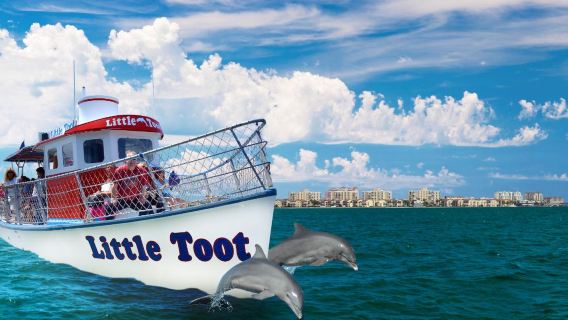 Little Toot Dolphin Adventure - #1 Dolphin Tour in the USA!