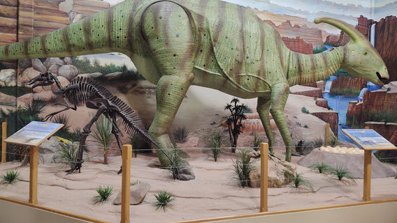 The Dinosaur Store