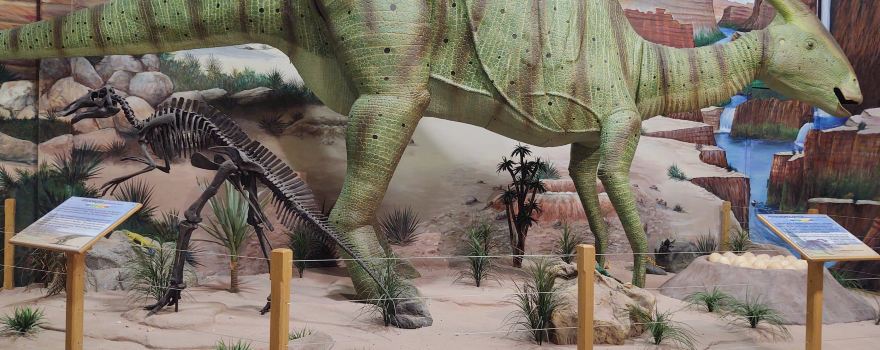 The Dinosaur Store