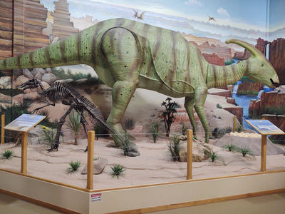 The Dinosaur Store