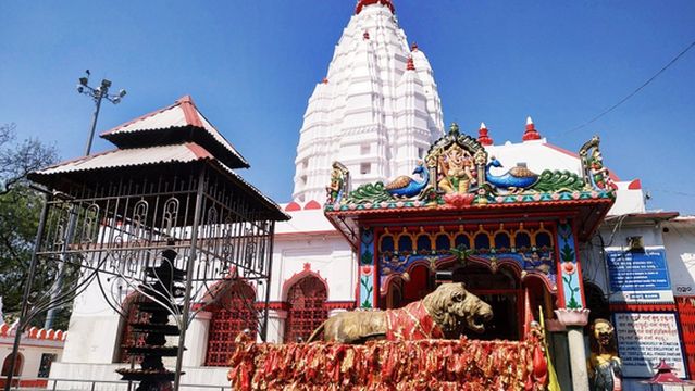 Maa Samaleswari Temple