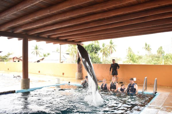 New York to Ixtapa flight