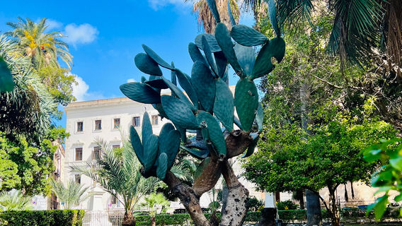 Giardino Garibaldi