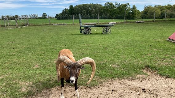 Oshawa Zoo & Fun Farm