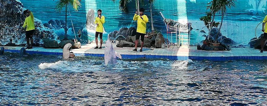 Oasis Sea World โอเอซิส ซีเวิลด์