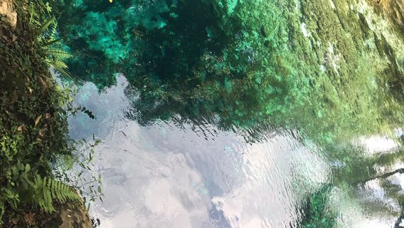 Madison Blue Spring State Park