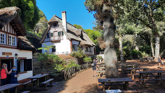 Queimadas Forest Park