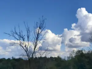 Parco Regionale di Montevecchia e della Valle del Curone