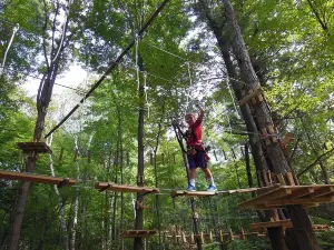 TreeHoppers Aerial Adventure Park