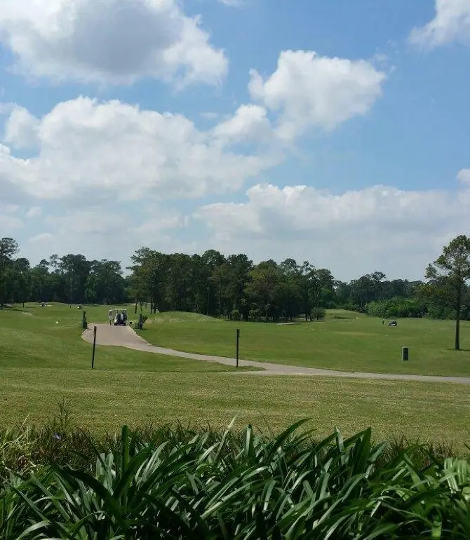 Friendswood