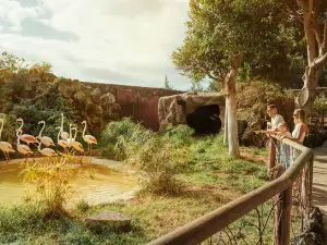 Rancho Texas Lanzarote park