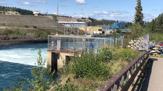 Whitehorse Fishway