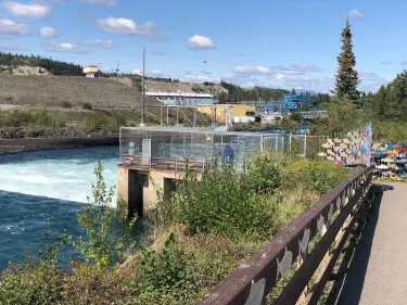 Whitehorse Fishway