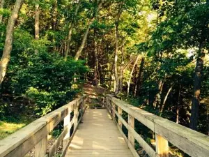 Schuylkill County Parks and Recreation