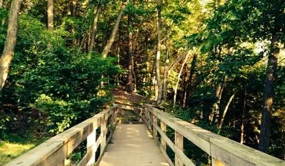 Sweet Arrow Lake County Park