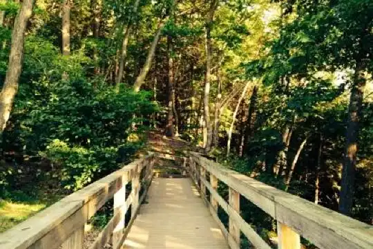 Hoteles en Municipio de Pine Grove