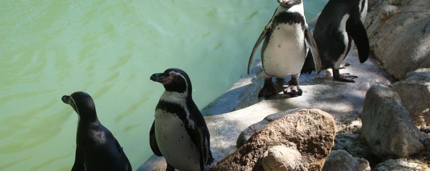 National Zoo