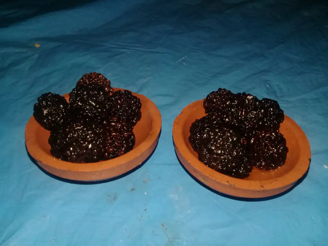 Hotels near Ganapathiyar Kovil Temple