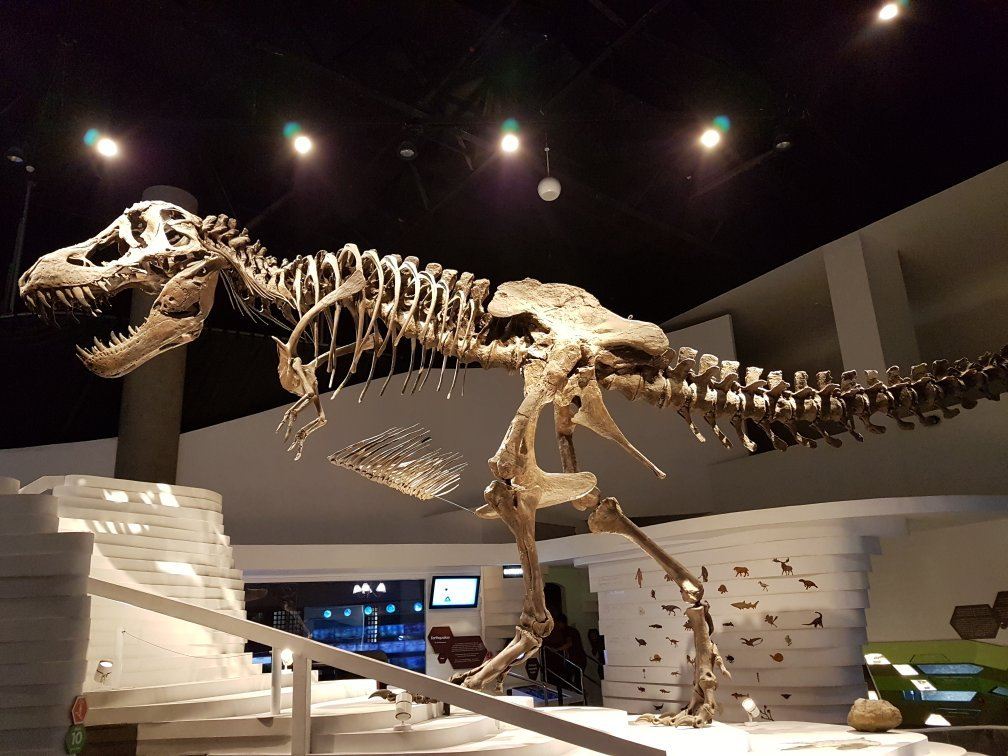 The Mind Museum