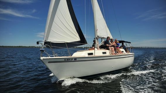 Jolly Sailing & Dolphin Cruise