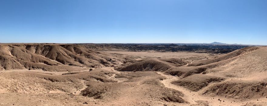 Welwitschia Plains