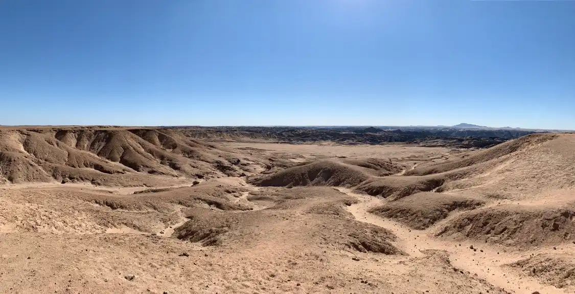Hotels near Welwitschia Plains