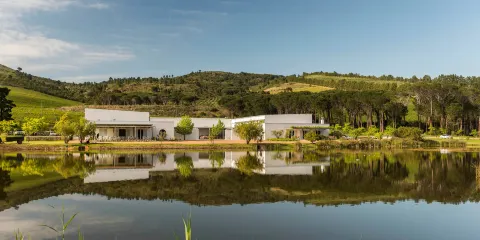 Morgenster Wine Farm and Olive Estate