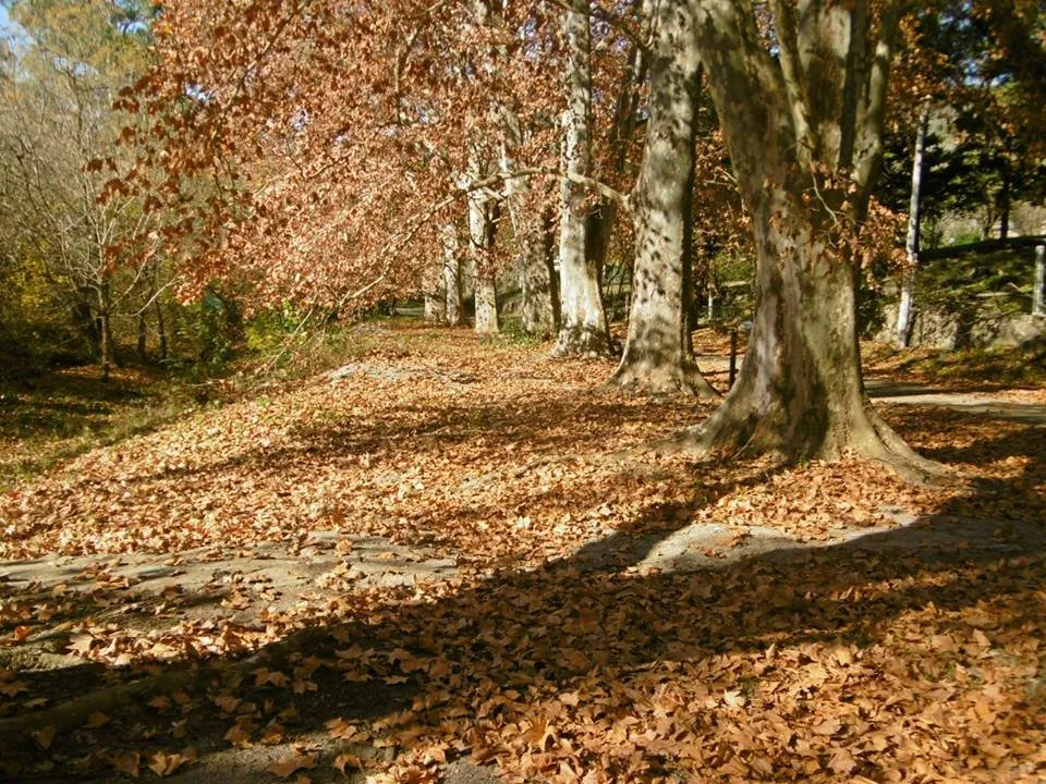 3_Balneario Las Jarillas