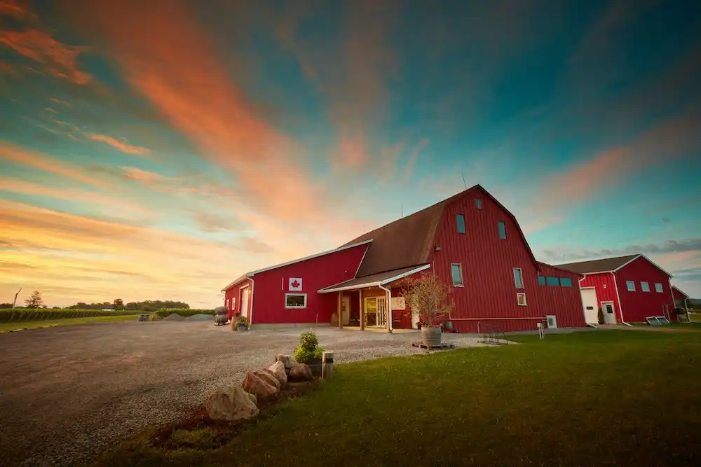 Hotels near Between The Lines Winery