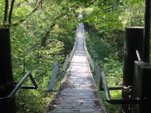 Swinging Bridge Park