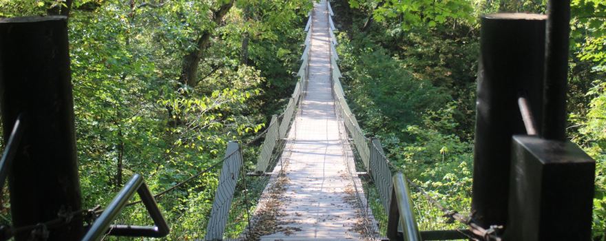Swinging Bridge Park