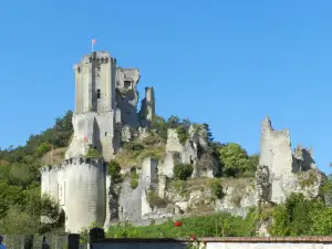 Château de Lavardin