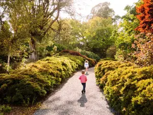 Mount Congreve Gardens