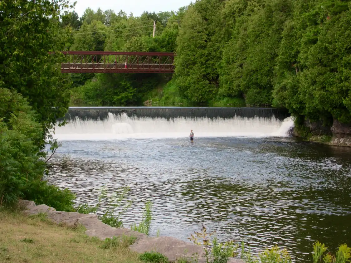 Hotels near Bissell Park