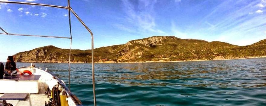 Full Dive